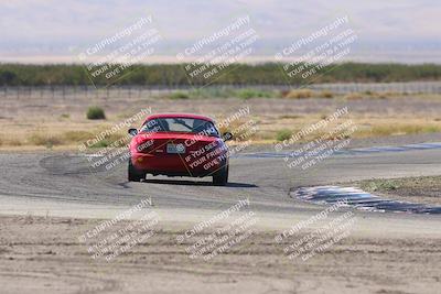 media/Oct-04-2025-OnGrid (Sat) [[44bd565ffa]]/Green Group/Grapevine/